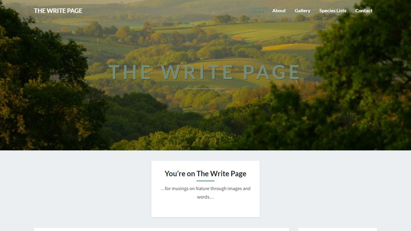 THE WRITE PAGE